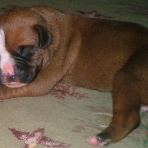 So Tiny