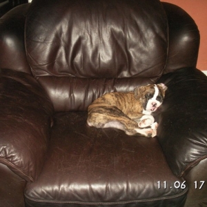 little_lazy
