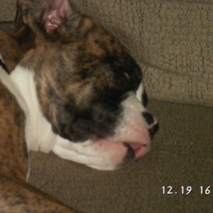 ZZZZZZ