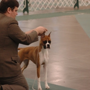 Lucy's first show