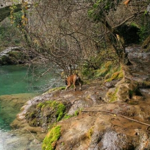 Henri's swimming hole