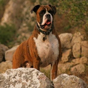 Henri - 4 years