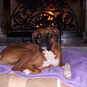Mmmm, Toasty