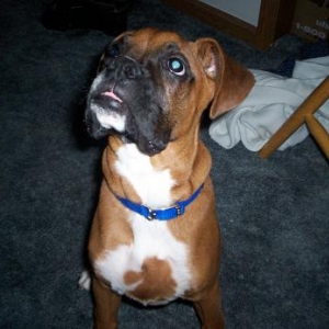 What'd you say to me?