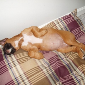 Look at that belly!!