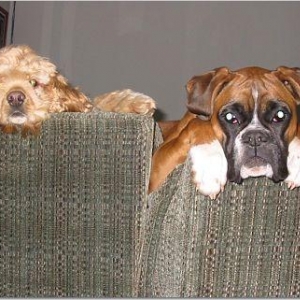 whatcha_doing_mom