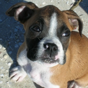 Penny 's closeup