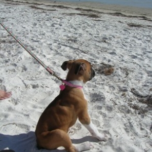 Penny at the Beach