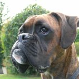 George
