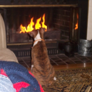 Dempsey by the Fire