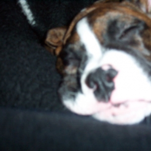 Sleepy Dempsey