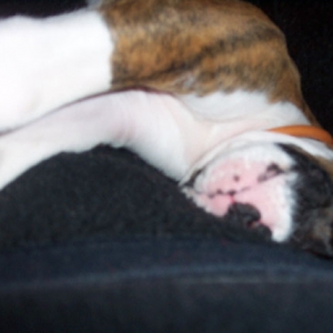Sleepy boy