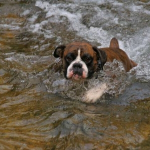 Paddling