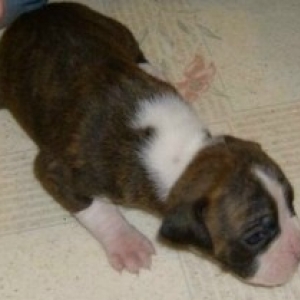QUINN_AT_2_5_WEEKS