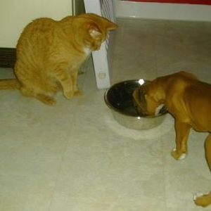 Pacino and Roscoe