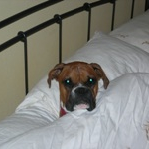 Bed time