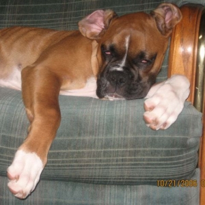 Alexis relaxing