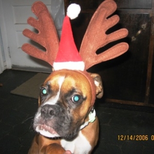 check the hat!