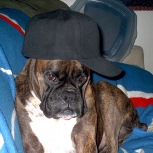 My Harley