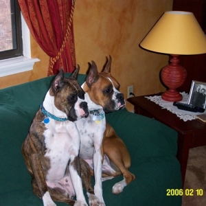 Jazz and Jesse portrait