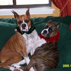 JazznJesse Xmas 2005