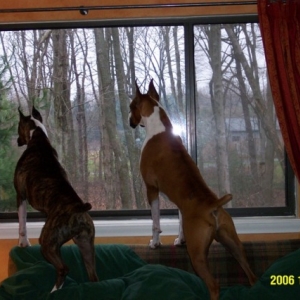 Neighborhood Watch Trainees