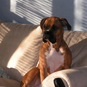 Newest picture of Bitty