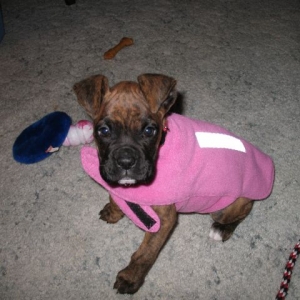 Hate my Coat