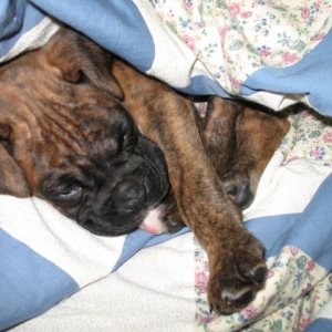 Sleepy