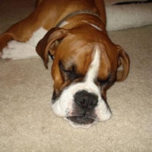 Sleeping Baby...