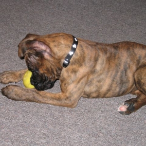 ball1