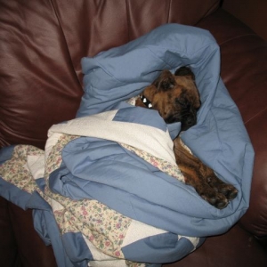 Alseep in the blanket