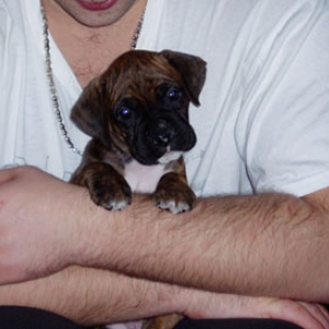 Baby Roxy