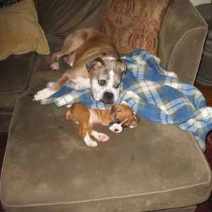 Dakota's First Day