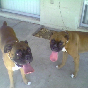 Bo (right)hanging out with his dad Rocky