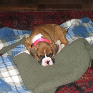 Nap Time