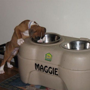 Maggie's Water Taste Better Than Mine