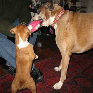 Playin