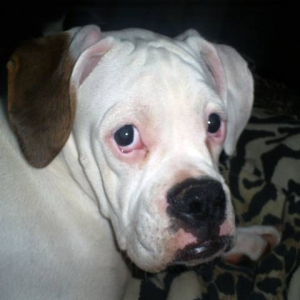 Poor Poor Pitiful me.. Sequoia