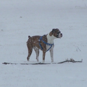 It's FINALLY SNOWING!!!