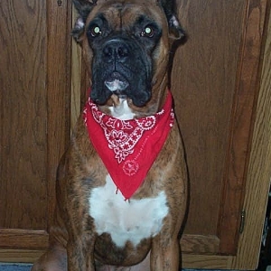 Buddy