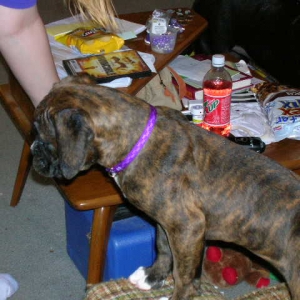 Maggie