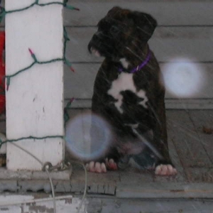 Maggie