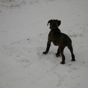 Maggie