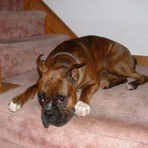 What a face!  What's not to love! ? !