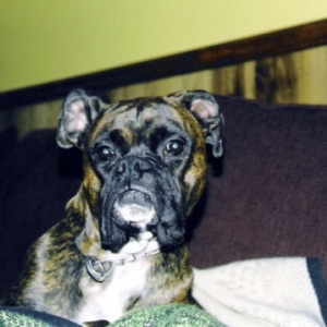 Prince Bubba