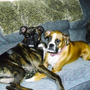 Prince & Roxy