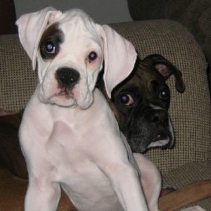 Max and Lilly