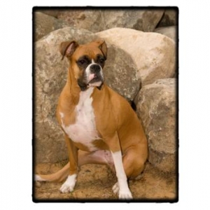 Roxie