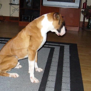 Can't wait to have him HOME!!